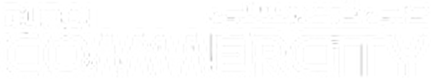 Partner 4